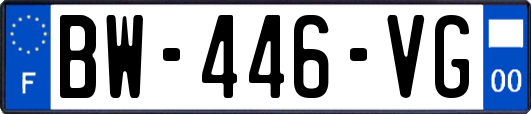 BW-446-VG