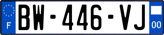 BW-446-VJ