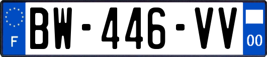 BW-446-VV