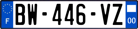 BW-446-VZ