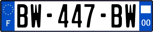 BW-447-BW