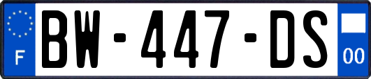 BW-447-DS