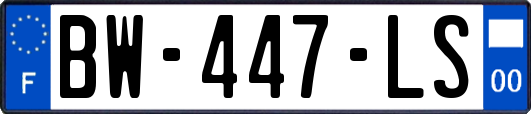 BW-447-LS