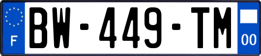 BW-449-TM
