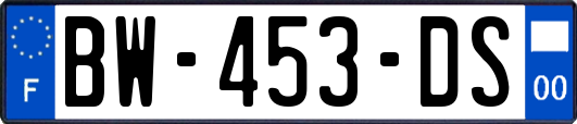 BW-453-DS