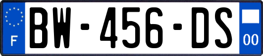 BW-456-DS