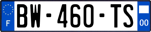 BW-460-TS