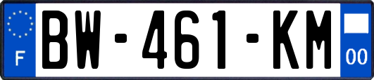 BW-461-KM