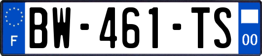 BW-461-TS