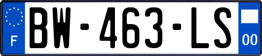 BW-463-LS