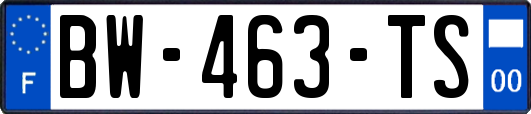 BW-463-TS