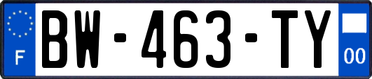 BW-463-TY