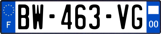 BW-463-VG