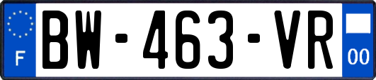 BW-463-VR