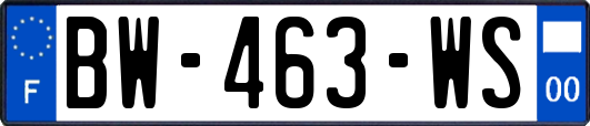BW-463-WS