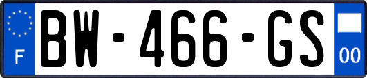 BW-466-GS