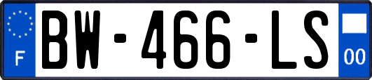 BW-466-LS