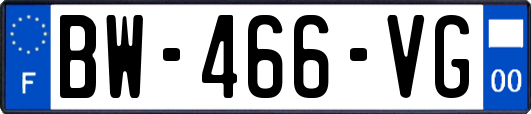 BW-466-VG