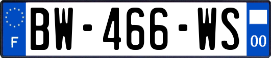 BW-466-WS