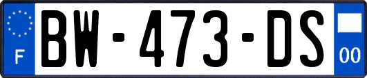 BW-473-DS