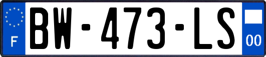 BW-473-LS