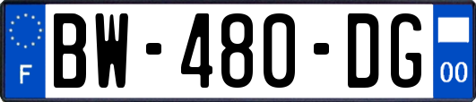 BW-480-DG