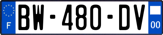 BW-480-DV