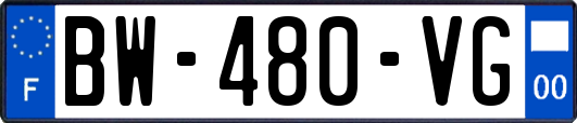 BW-480-VG