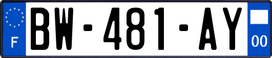 BW-481-AY