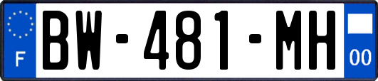 BW-481-MH