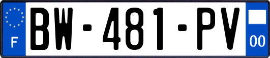 BW-481-PV