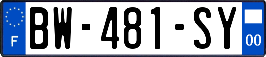 BW-481-SY