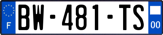 BW-481-TS