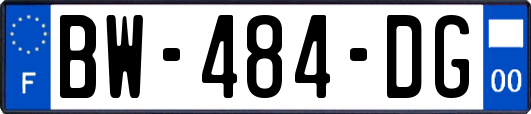 BW-484-DG