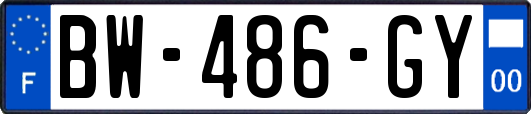 BW-486-GY