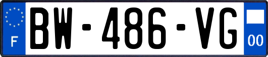 BW-486-VG