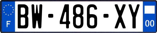 BW-486-XY