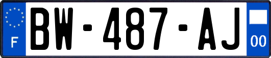 BW-487-AJ