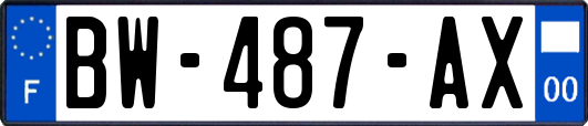 BW-487-AX