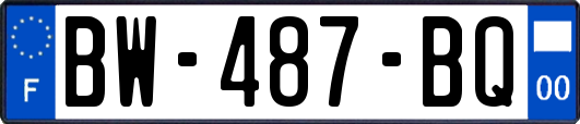 BW-487-BQ