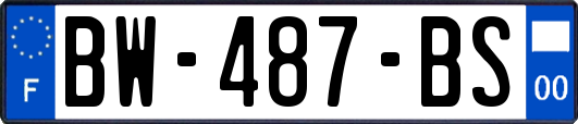 BW-487-BS