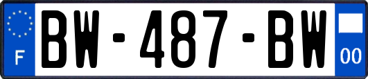 BW-487-BW