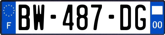 BW-487-DG