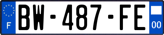 BW-487-FE