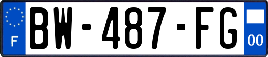 BW-487-FG