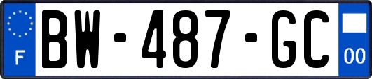 BW-487-GC