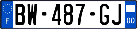 BW-487-GJ