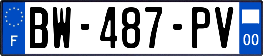 BW-487-PV