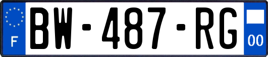 BW-487-RG