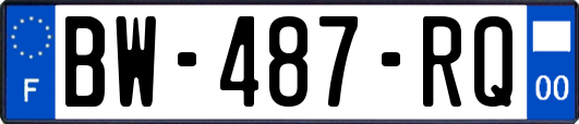 BW-487-RQ